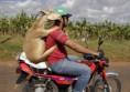 /album/vtipne-obrazky/biker-and-passenger-jezo-animal-jpg/